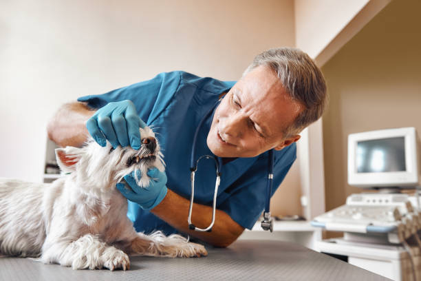 Best Emergency Dental Care for Abscessed Tooth in Port Reading, NJ
